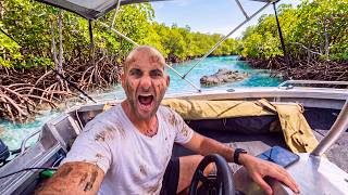 Surviving 40 Hours Alone In The Mangroves