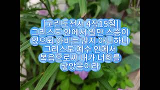 [고린도전서 4장15절]2025-07-02[수요일]