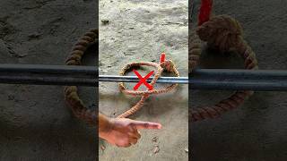 Pro Lifehacks Solution