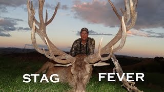 STAG FEVER