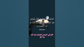 إن الذين آمنوا وعملوا الصالحات يهديهم ربهم بإيمانهم_ سورة يونس الآية 9️⃣_1️⃣0️⃣