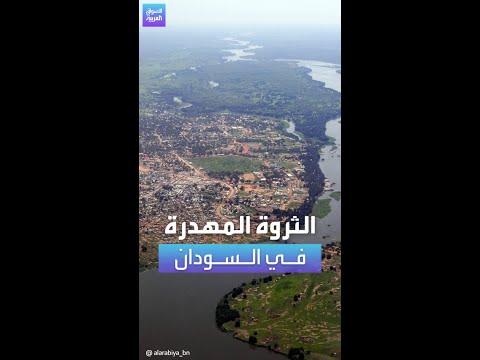 أرض السودان الزراعية غير المستغلة تكفي حاجات السعودية من القمح ٧٠ مرة