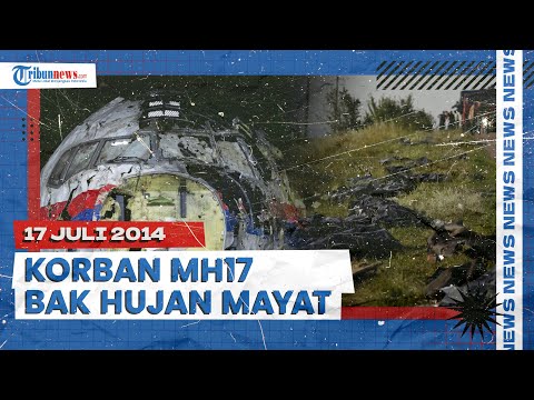 Saksi Mata Jatuhnya Pesawat Malaysia Airlines MH17, Banyak Mayat Manusia Berjatuhan Layaknya Hujan