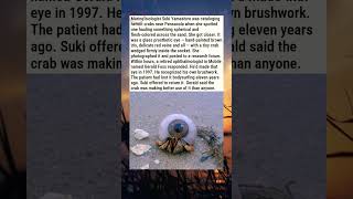 Marine biologist Suki Yamashiro was cataloging hermit crabs near Pensacola