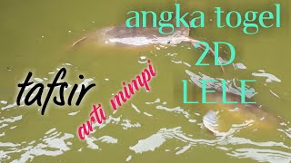 the meaning of dream interpretation or catfish natural code number 2d#mystery of numbers
