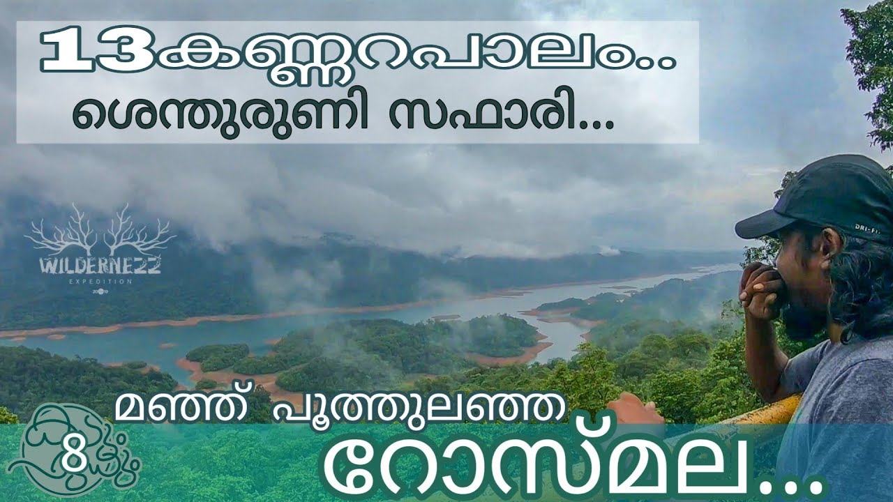 camera iphone 8 plus apk Rosemala Thenmala Ecotourism || Shenduruny Jungle Safari || 13 Kannara Palam || Kerala Tourism