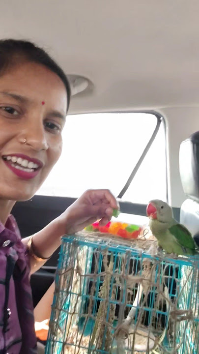 Agra panchhi jelly mitthoo ko pasand aa gyi #talking intelligent mitthoo family @gourirajput17