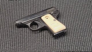 #10gunsin10days2022 Galesi .25ACP @hydtim