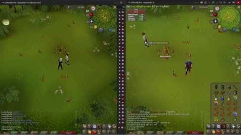 Stuck in Freaky Forester event | Old School Runescape