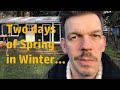 Renovating an abandoned Tiny House #38: Two days of Spring in the middle of Winter