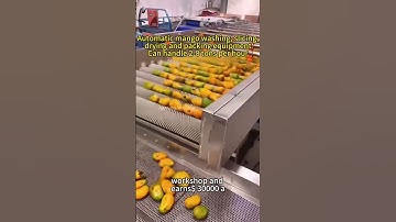 #Mango #DriedMango: Automatic Slicing, Drying & Packaging Equipment #DryingMachine #FoodProcessing