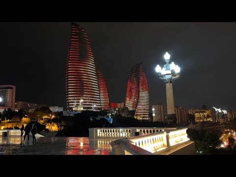 Видео: Нимбэгний зөгийн бальзам арчилгаа – Цэцэрлэгт байгаа зөгийн бальзамын ургамлын талаар суралц