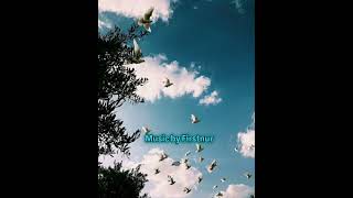 Ezo - Sana Git Diyemem Lyrics