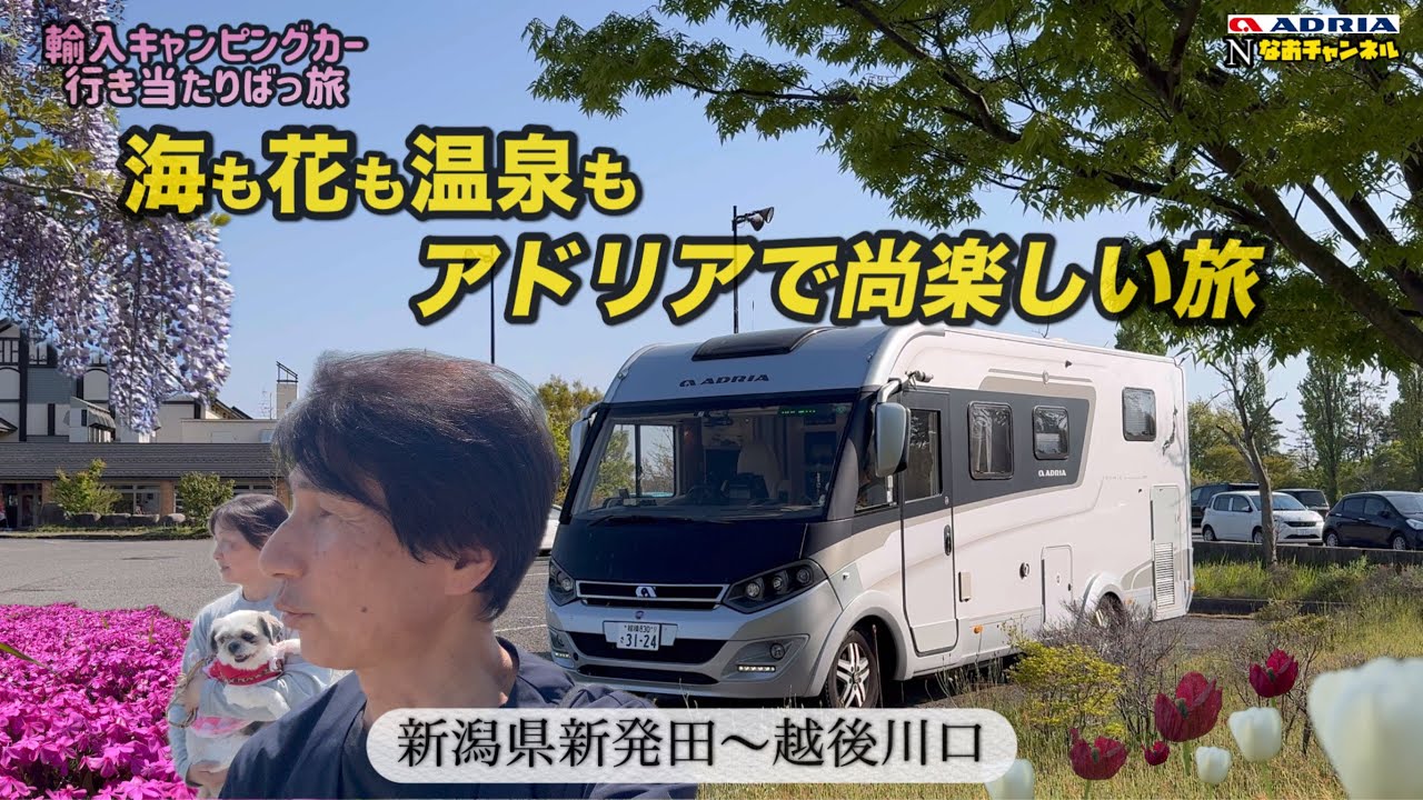 輸入キャンピングカーアドリアで尚楽しい旅、海も花も温泉もある公園　紫雲寺記念公園～越後川口
