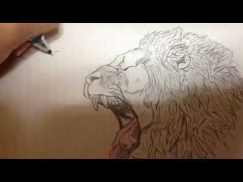 今度はライオン描きました Youtube