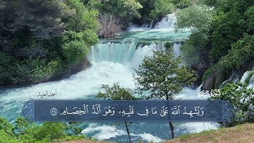 ﴿ وَمِنَ النَّاسِ مَنْ يُعْجِبُكَ قَوْلُهُ فِي الْحَيَاةِ الدُّنْيَا ﴾ القارئ أحمد العبيد 🌿🧡.