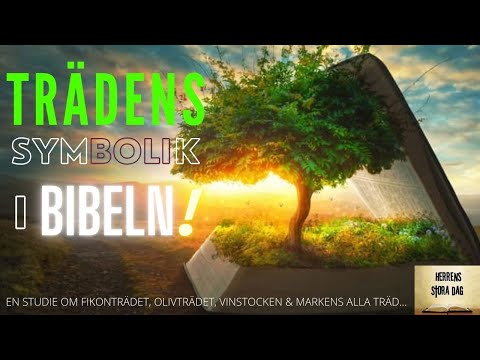 Video: De Mest Mystiska Profetiorna I Bibeln: Profeten Elias Ankomst Före Herrens Dag - Alternativ Vy