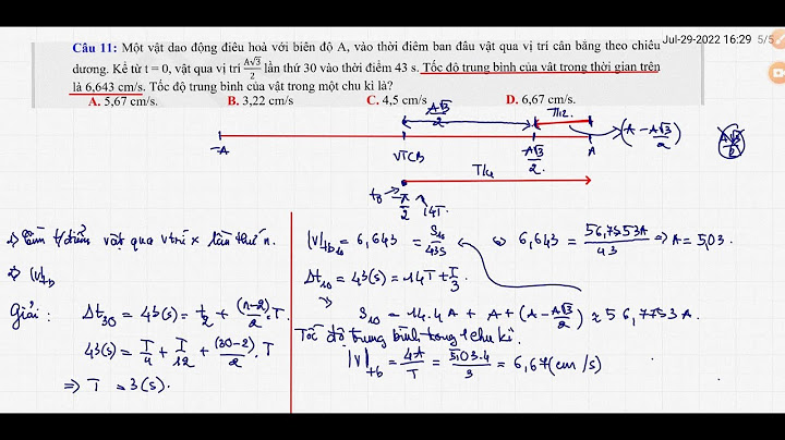 Tốc độ trung bình của vật trong t 3 năm 2024