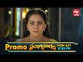 వింధ్యను కలవరపెడుతోన్న కూతురి వింత ప్రవర్తన? | Sandya Ragam | Mon - Sat  @ 12:30 PM On ETV