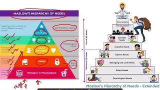 Maslow's Needs theory/Pyramid - Motivation pyramid #psychology #maslows_hierarchy_needs #maslow