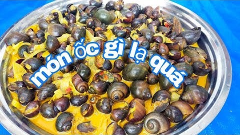 Đi Bắt Ốc Về Xào Dừa Món Ăn Dân Dã Miền Tây/Tiến Pero