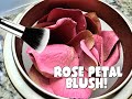 ROSE PETAL BLUSH!- FIRST IMPRESSION FRIDAY!