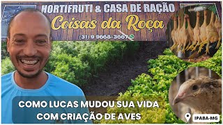 HISTÓRIA DE SUCESSO: Como a CRIAÇÃO de CODORNAS  mudou a vida do Lucas