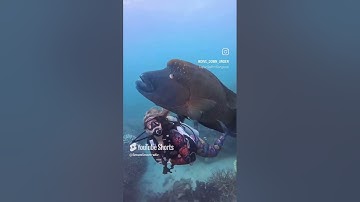 #قران كريم #اكسبلور #المصحف #تيك توك #funny #animals #cute #ترند #ضحك #love 1