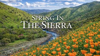 Spring in the Sierra Nevada Is Pure Magic (You Have to See This)
