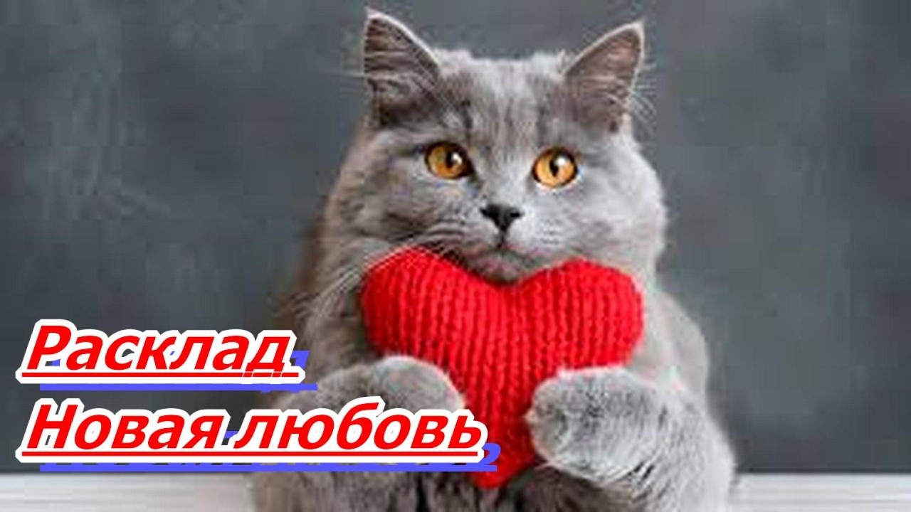 РАСКЛАД НОВАЯ ЛЮБОВЬ