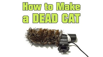 How to Make a Dead Cat ( Microphone Wind Screen Muff DIY )