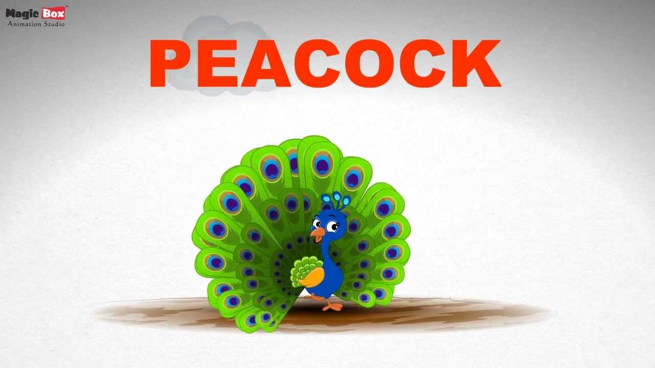 Peacock - Birds - Pre School - Learn Spelling  Videos For Kids