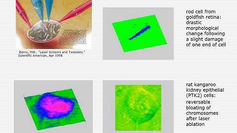 Introduction to Digital Holography