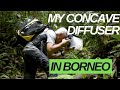 Concave diffuser in Borneo