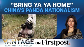 Fighting Over Pandas: Why US & China Are Caught in a Major Diplomatic Row|Vantage with Palki Sharma