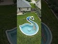 Backyard Swan Pond Transformation Idea#GardenDesign #DIY #Shorts