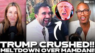 IHIP News: MAGA in MELTDOWN Over MAMDANI! Trump is TERRIFIED After MASSIVE LOSSES Across Nation!