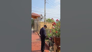 MÙNG 1 TẾT GIA ĐÌNH SUM HỌP BÊN NHAU, SỨC KHỎE CỦA BỐ TỐT HƠN NHIỀU #tetnguyendan2025 #shortvideo