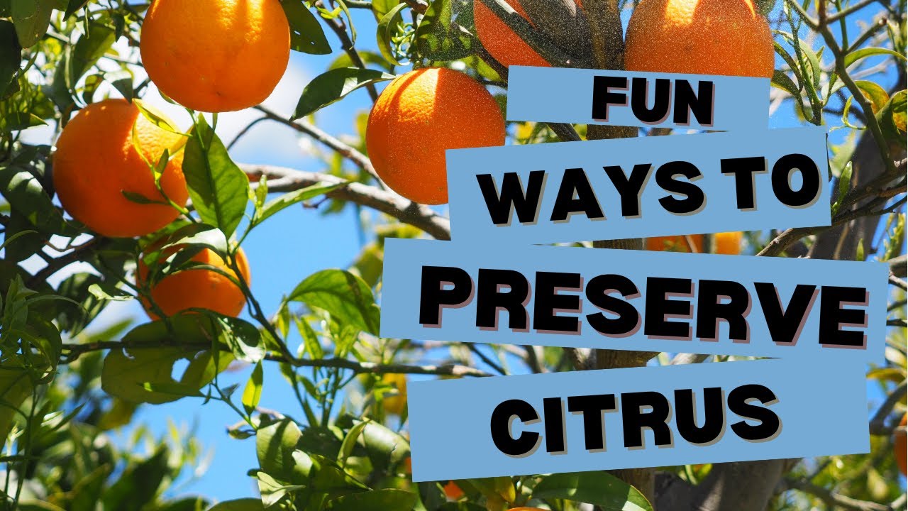 Fun Ways to Preserve Citrus