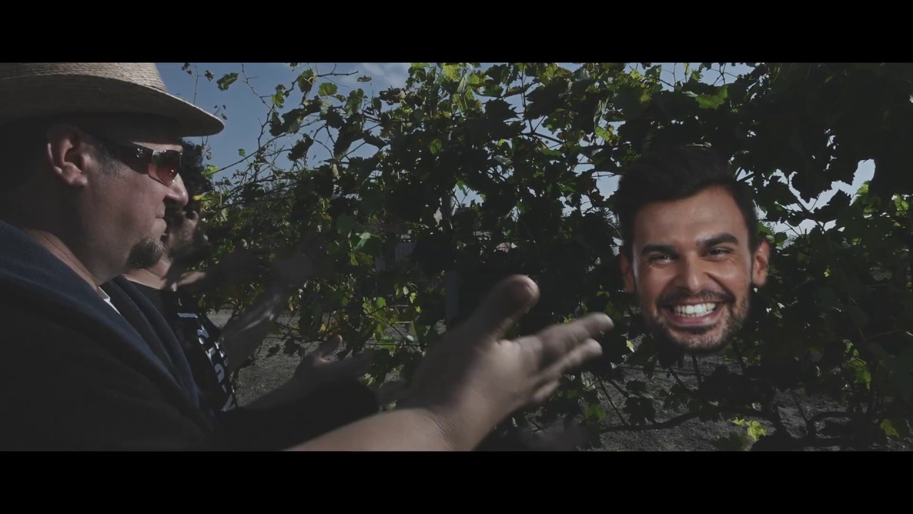 Polgár Peti - Bulizzatok magyarok! (Offipixál videó)