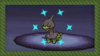 [LIVE] Shiny Deino after 8,793 REs in White + Evolutions (DTQ #6) screenshot 2