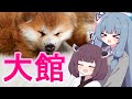 秋田犬ときりたんぽのふるさと大館に行こう! VOICEROID旅行 東北きりたん・琴葉葵