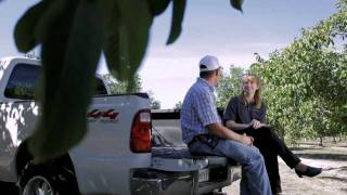 Fedora Farms processes tons of walnuts in 6 weeks