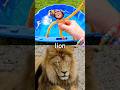 Learn Animal Names for Babies Toddlers Kids: Lion Elephant Tiger Donkey Duck Giraffe