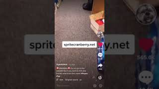 Featured image of post Sprite Cranberry Net Sprite cranberry is a song produced by dram for a sprite commercial along with lebron james basketball star