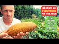 Comment cultiver le concombre au potager  