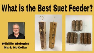 How to choose the Best Suet Feeder