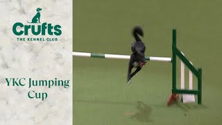 Young Kennel Club Jumping | Crufts 2024