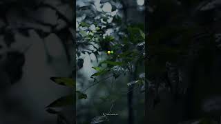 Mil Ke Baithange Official Video Amrinder Gill New Punjabi Song 2025 Latest Hit