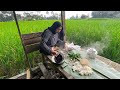 Makan Nasi Liwet Di Sawah Bareng Gadis Desa Maknyoss | Suasana Pedesaan Jawa Barat, Garut, Pamulihan